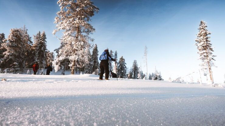 Rovaniemi: Ski Trekking Safari in Lapland - Booking Information