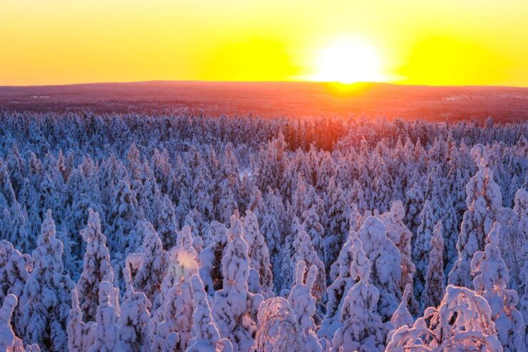 Rovaniemi: Snowmobile Adventure in Lapland - Good To Know