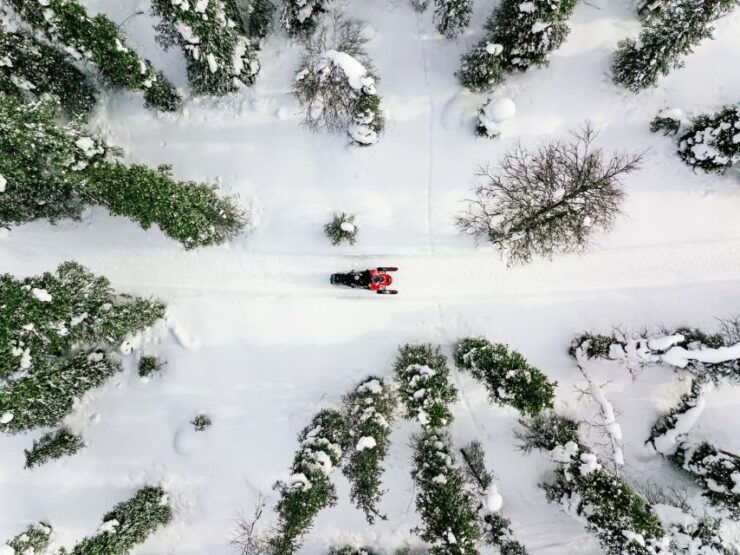 Rovaniemi: Snowmobile Safari Adventure - Activity Details