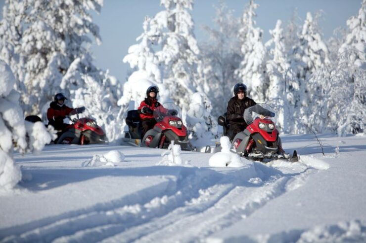 Rovaniemi: Snowmobile Safari Adventure - Activity Details