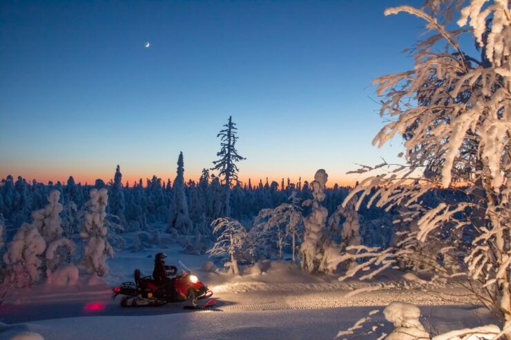 Rovaniemi: Snowmobile Safari & Campfire Evening Escape - Activity Details