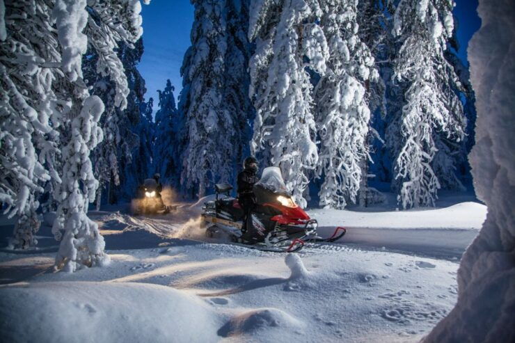 Rovaniemi: Snowmobile Safari & Campfire Evening Escape - Experience Highlights