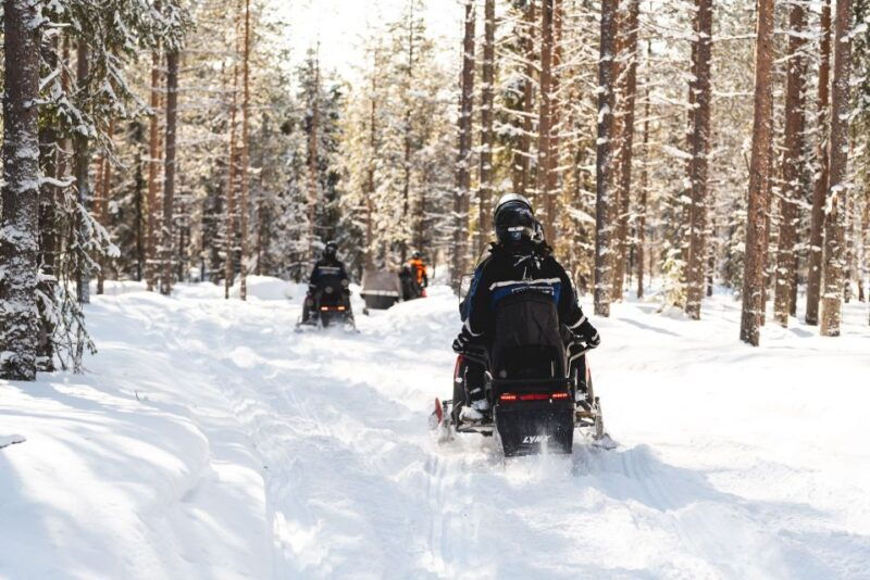 Rovaniemi: Snowmobile Safari into the Arctic Circle Forest - Good To Know