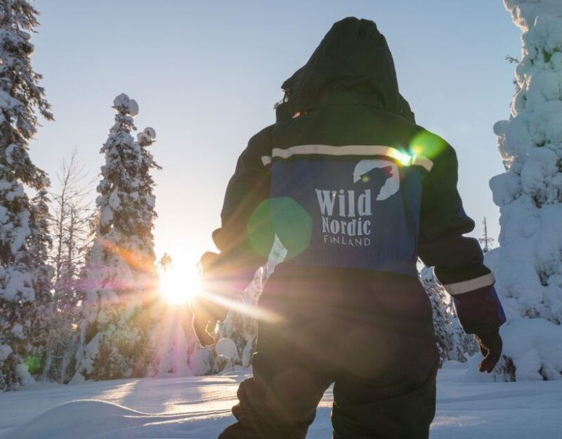 Rovaniemi: Snowmobile Safari into the Arctic Circle Forest - Insights from Real Travelers