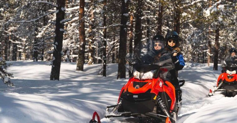 Rovaniemi: Snowmobile Safari into the Arctic Circle Forest - The Sum Up