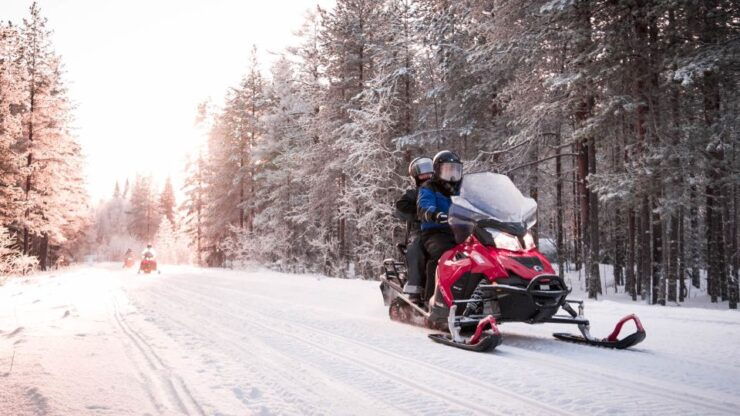 Rovaniemi: Snowmobile Safari Into the Arctic Circle Forest - Activity Details
