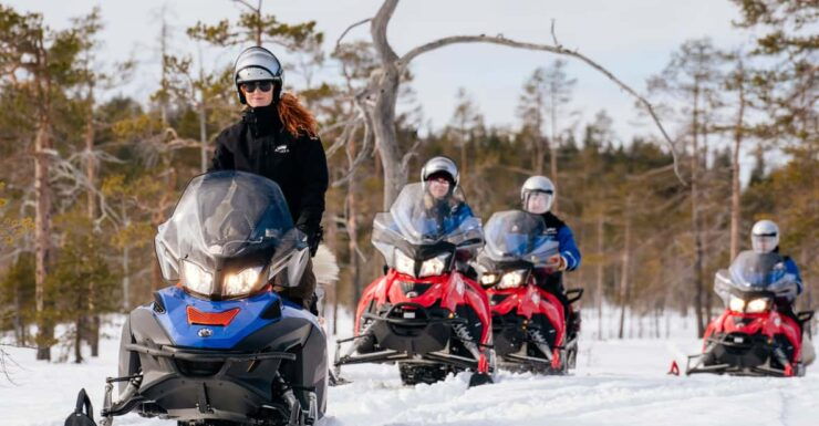 Rovaniemi: Snowmobile Safari Into the Wilderness - Pricing and Duration