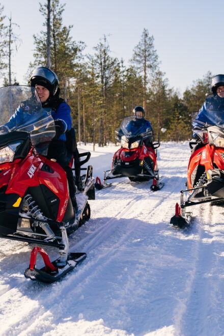 Rovaniemi: Snowmobile Safari Into the Wilderness - Inclusions and Requirements