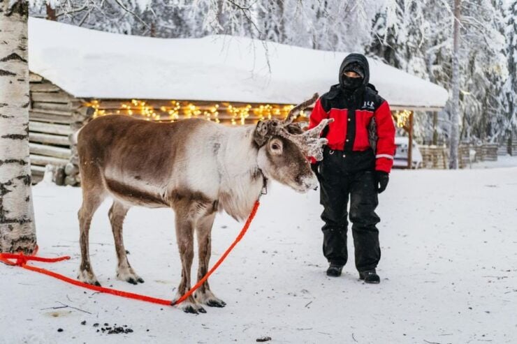 Rovaniemi: Snowmobile Safari, Reindeer & Husky Sleigh Ride - Activity Details