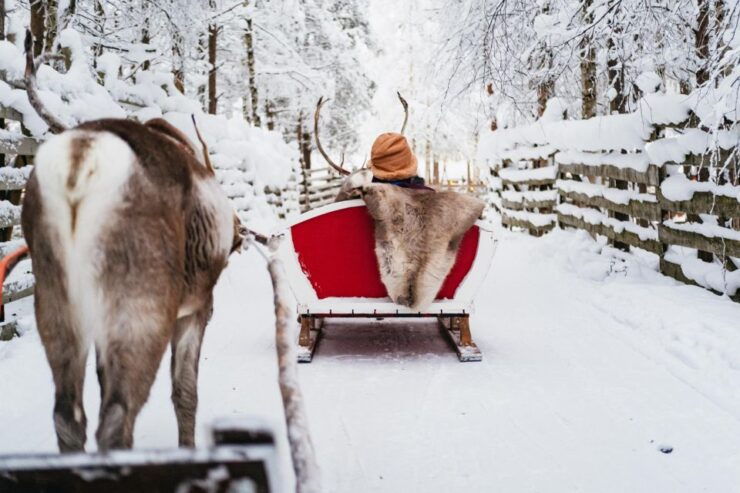 Rovaniemi: Snowmobile Safari, Reindeer & Husky Sleigh Ride - Experience Highlights