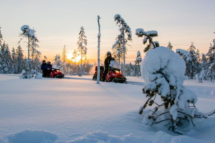 Rovaniemi: Snowmobile Safari to a Reindeer Farm - Activity Overview