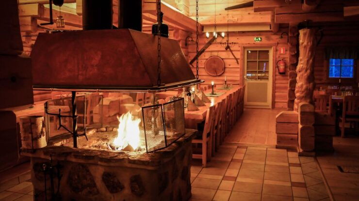 Rovaniemi: Snowmobile Safari to the Wilderness With Lunch - Experience Highlights