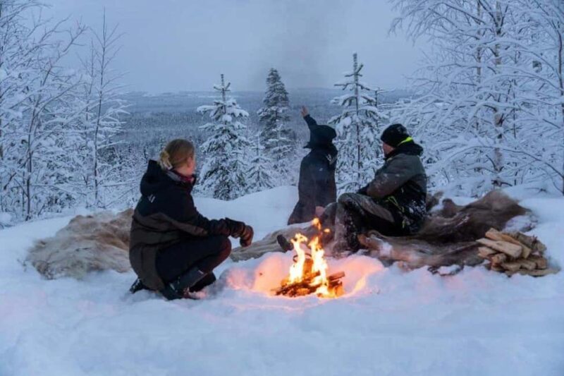 Rovaniemi: Snowmobile Sleigh Ride with Campfire Coffee - Practical Details and What To Expect