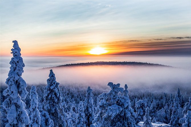 Rovaniemi: Snowmobile Small-Group Tour - Tour Details