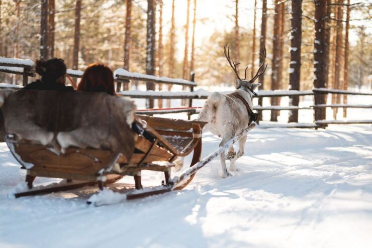 Rovaniemi: Snowmobile to Reindeer Farm & Santa Claus Village - Booking Information