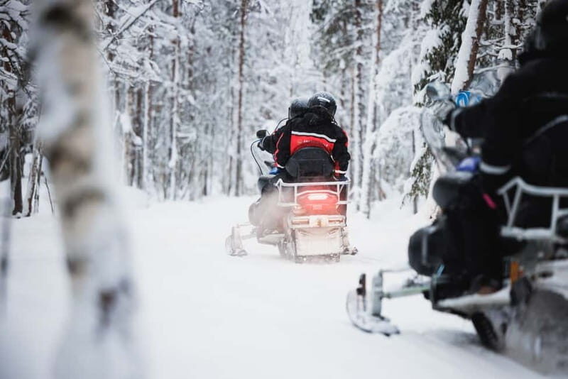 Rovaniemi: Snowmobile Tour and Reindeer Experience - Who Will Love This Tour?