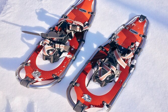 Rovaniemi Snowshoe Excursion - Snowshoe Adventure in Rovaniemi