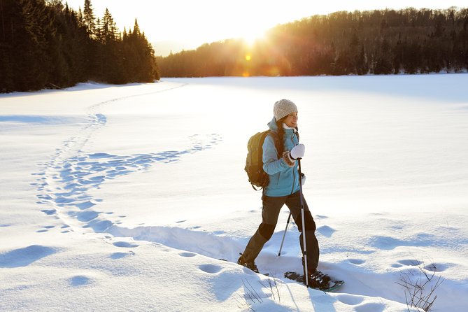 Rovaniemi Snowshoe Hike in Lappish Wilderness - Essential Gear and Clothing for the Hike