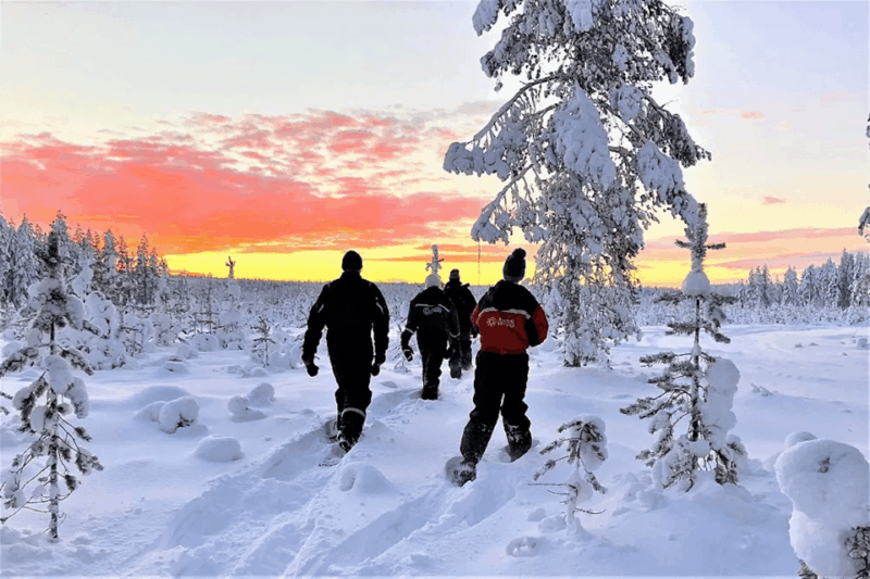 Rovaniemi: Snowshoe Hiking Adventure - Good To Know  