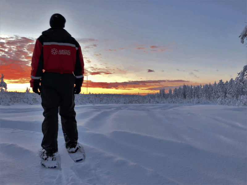 Rovaniemi: Snowshoe Hiking Adventure - The Practical Aspects