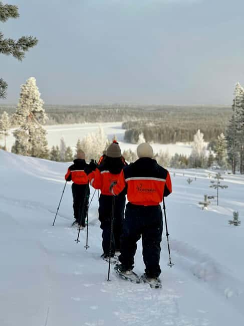 Rovaniemi: Snowshoe trip to meet reindeer - Practical Details and What to Expect