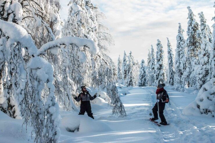 Rovaniemi: Snowshoe Wilderness Adventure - Good To Know