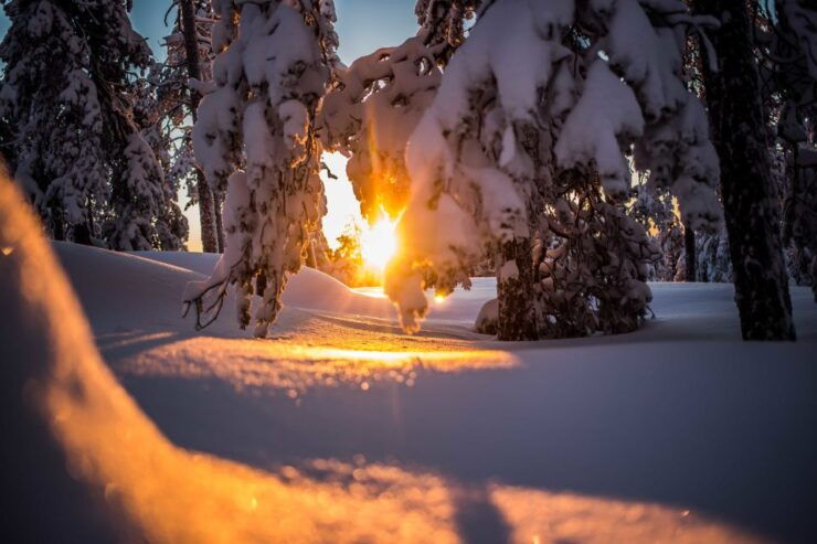 Rovaniemi: Snowshoe Wilderness Adventure - Activity Details