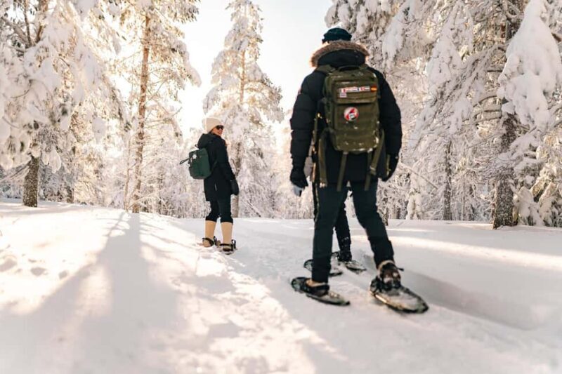 Rovaniemi: Snowshoeing in the Arctic Wilderness - Good To Know