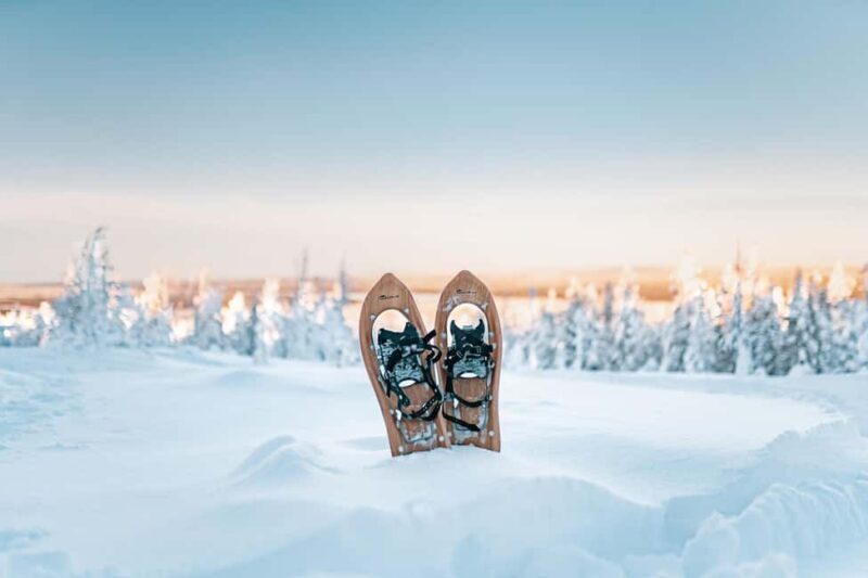 Rovaniemi: Snowshoeing in the Arctic Wilderness - Unpacking the Snowshoeing Tour in Rovaniemi