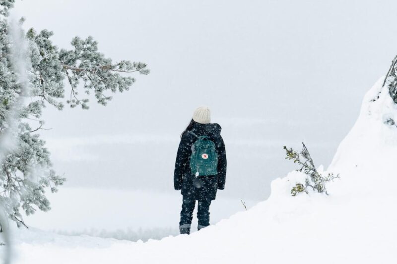 Rovaniemi: Snowshoeing in the Arctic Wilderness - Who Will Enjoy This Adventure?
