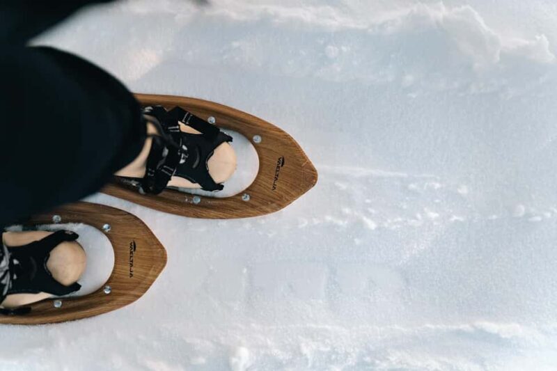 Rovaniemi: Snowshoeing in the Arctic Wilderness - The Sum Up