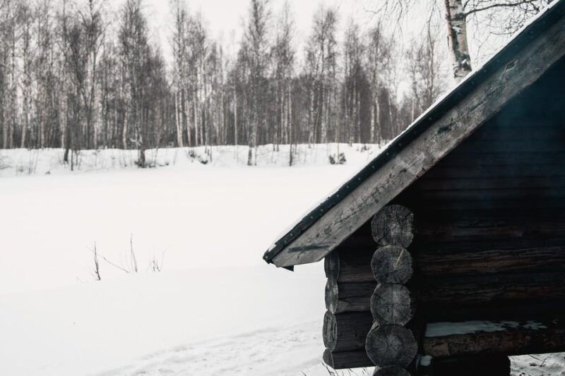 Rovaniemi: Snowshoeing in the Arctic Wilderness - Good To Know  