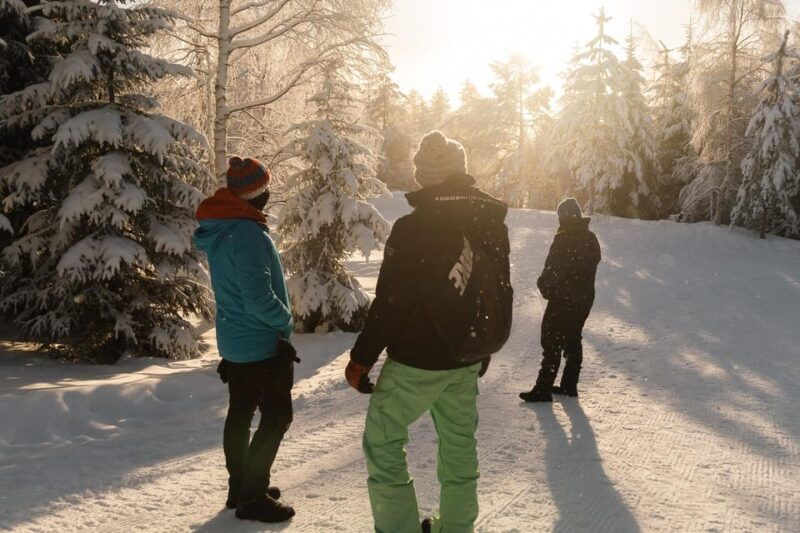 Rovaniemi: Snowshoeing in the Arctic Wilderness - Practical Details and Value  
