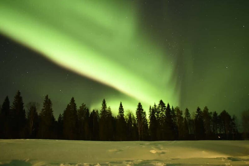 Rovaniemi: Snowtrain to Northern Lights Camp - Who Is This Tour Best For?