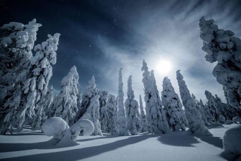 Rovaniemi: Snowy Forest Night Hike with Northern Lights - Exploring the Watchtower and Scenery