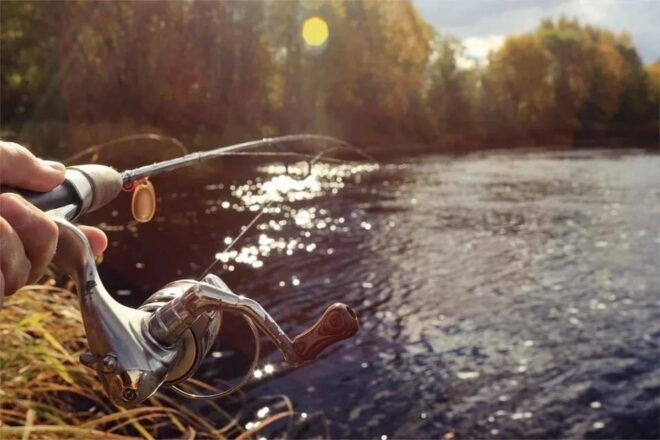 Rovaniemi: Summer Fishing Tour in Arctic Nature & BBQ - Experience Highlights