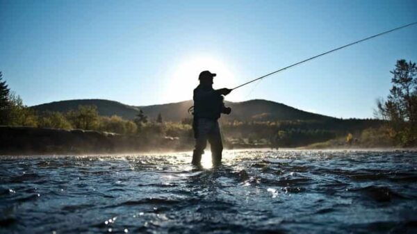 Rovaniemi: Summer Fishing Tour in Arctic Nature & BBQ - What to Expect