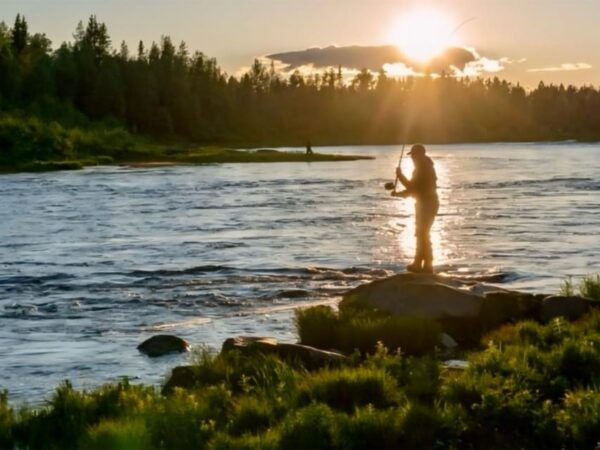 Rovaniemi: Summer Fishing Tour in Arctic Nature & BBQ - Important Restrictions