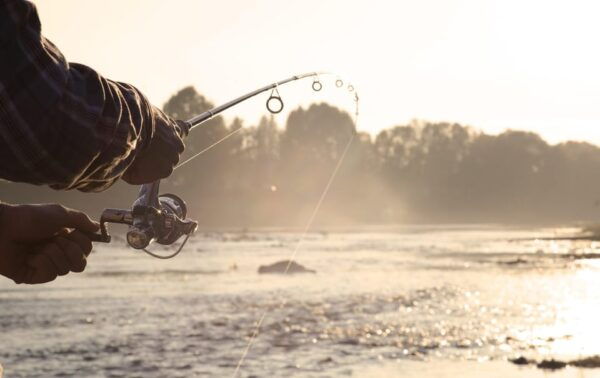 Rovaniemi: Summer Fishing Tour in Arctic Nature & BBQ - Tips for a Great Experience