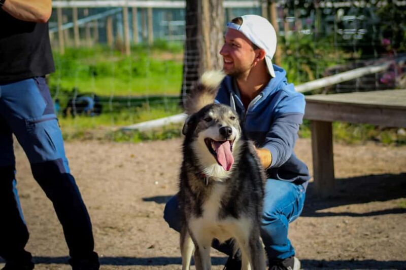 Rovaniemi: Summer Husky Kennel Tour and Cart Ride - Analyzing the Value of the Experience