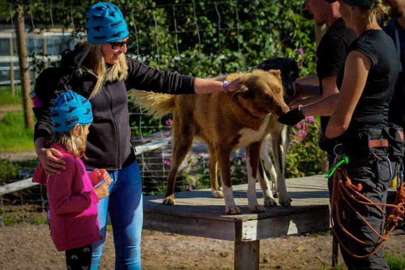 Rovaniemi: Summer Husky Kennel Tour and Cart Ride - FAQs