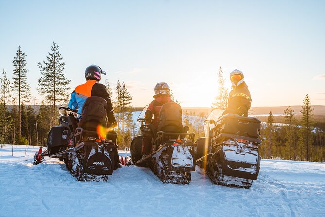 Rovaniemi Tour: Snowmobile, Arctic Reindeer and Husky Safari Ride - Tour Highlights