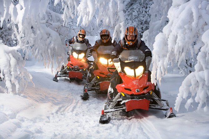 Rovaniemi Tour: Snowmobile, Arctic Reindeer and Husky Safari Ride - Snowmobile Adventure