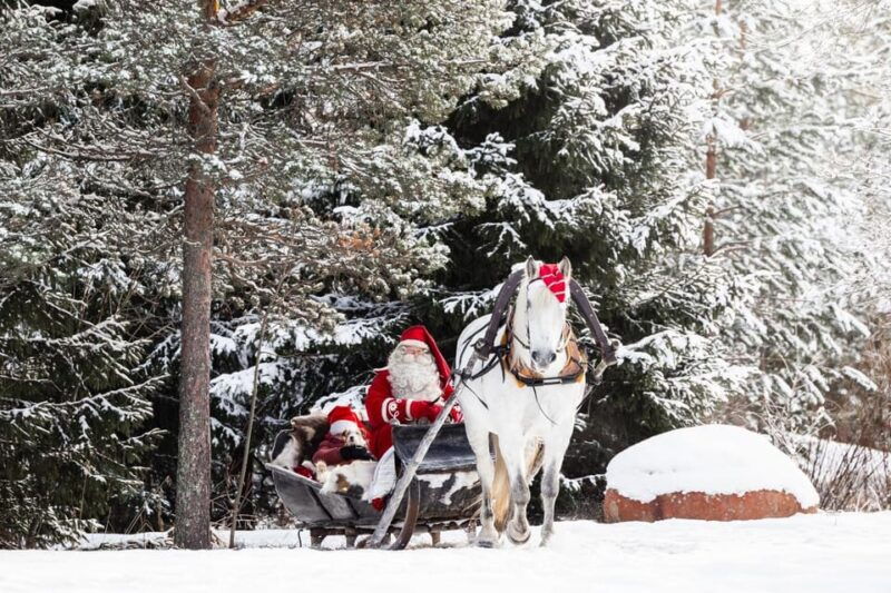 Rovaniemi: Traditional Finnhorse Sleigh Ride at SCV (3km) - Good To Know
