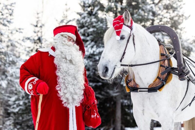 Rovaniemi: Traditional Finnhorse Sleigh Ride at SCV (3km) - The Sum Up