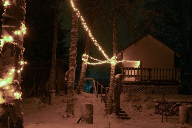 Rovaniemi: Traditional Sauna and Ice Swimming Experience - Good To Know