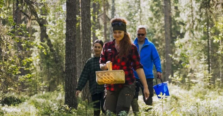 Rovaniemi : Trekking in the Heart of Nature - Good To Know