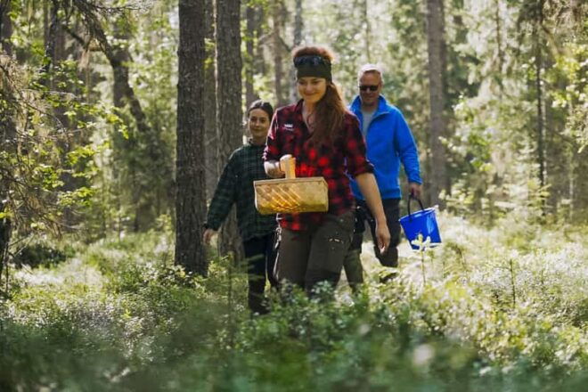 Rovaniemi : Trekking in the Heart of Nature - Highlights of the Journey