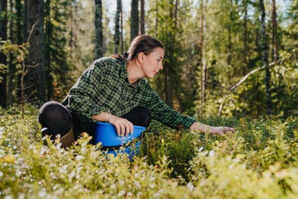 Rovaniemi : Trekking in the Heart of Nature - Natures Wonders Along the Trail