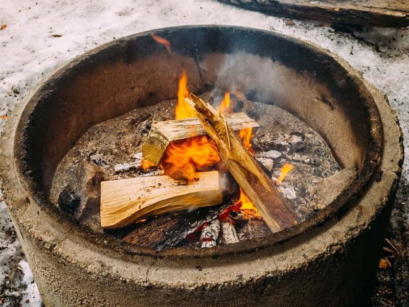 Rovaniemi: Trip to Ranua Zoo with Tickets - Introduction